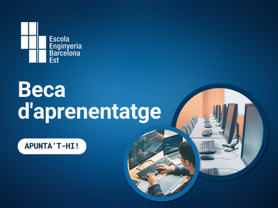 Beca d'aprenentatge. Suport als Serveis TIC