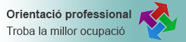 Orientacio_professional.png