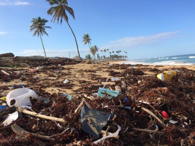 waste at beach.jpg