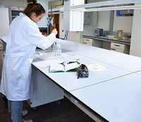 Laboratori de Química General