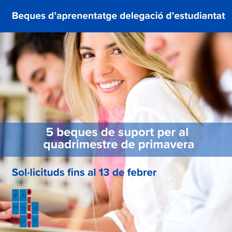 Beques d'aprenentatge per a la Delegació per al quadrimestre de primavera