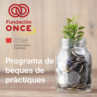 Beques de la Fundación ONCE-CRUE