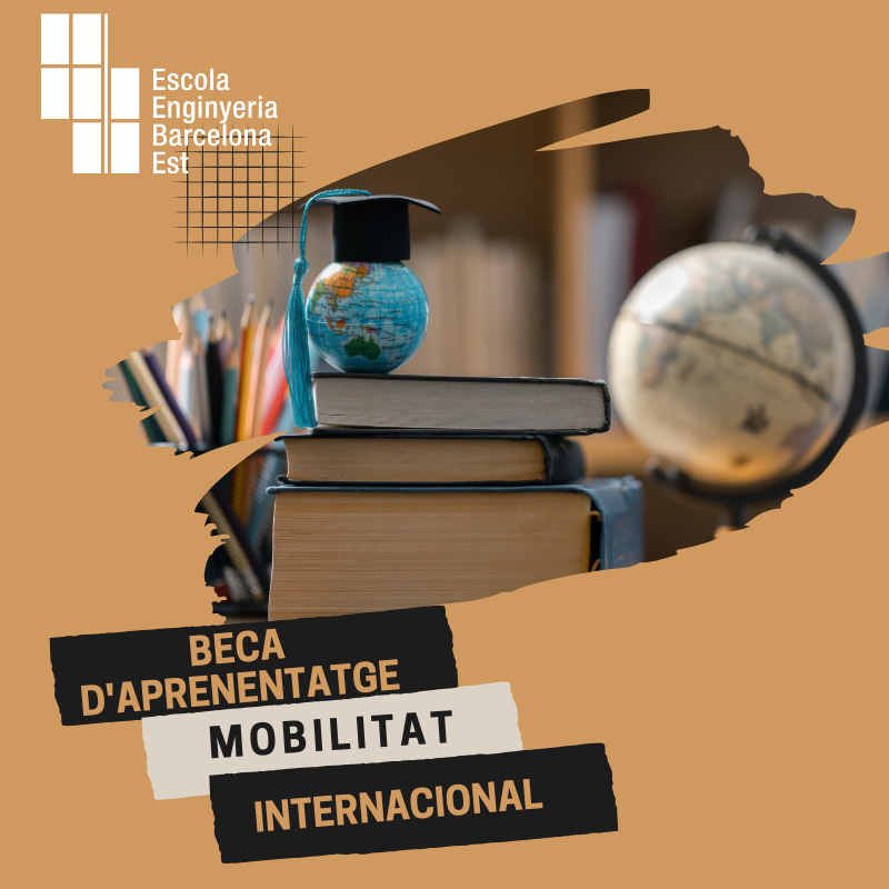 Convocada beca de suport a la unitat de mobilitat internacional per al curs 25-26
