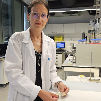Desenvolupen resines d'impressió 3D sostenibles a partir de fonts vegetals