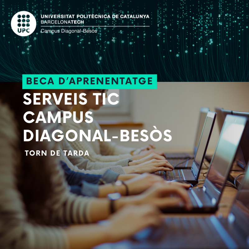 Els Serveis TIC del Campus convoquen una beca d'aprenentatge