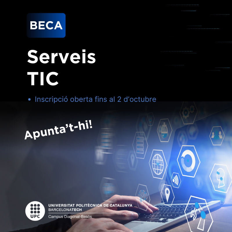 Es convoca una beca d'aprenentatge per donar suport als Serveis TIC