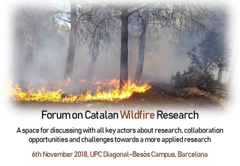 Forum on Catalan Wildfire Research