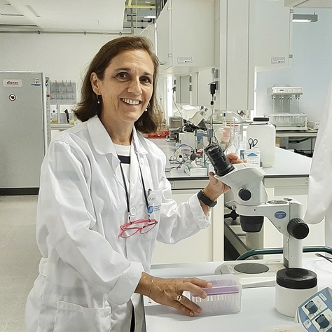 Maria Pau Ginebra, distingida per l’European Research Council amb un Advanced Grant