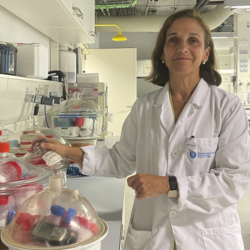 Maria Pau Ginebra guardonada als 'Premios Nacionales de Investigación'