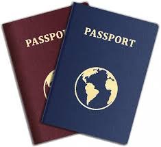 icona passport.jpg
